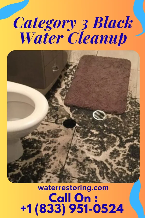 Category 3 Black Water Cleanup in Melvina, WI